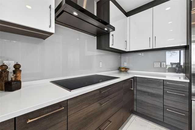 100 1ST AVENUE N 2206, St Petersburg, FL 33701