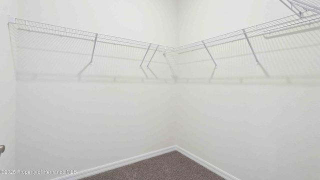 11377 Curio Drive, Brooksville, FL 34613