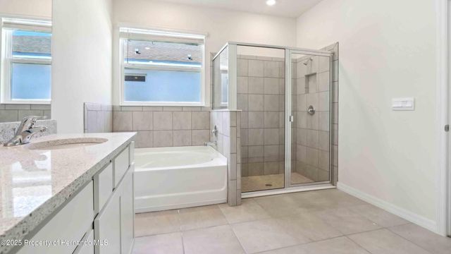 11377 Curio Drive, Brooksville, FL 34613