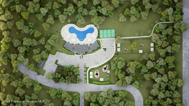 11377 Curio Drive, Brooksville, FL 34613