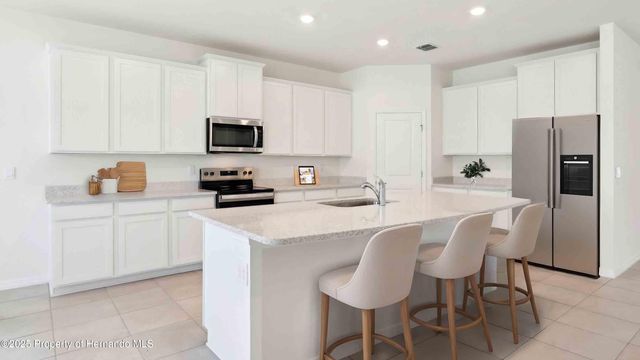 11377 Curio Drive, Brooksville, FL 34613