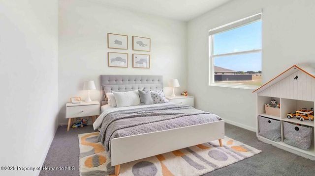 11377 Curio Drive, Brooksville, FL 34613