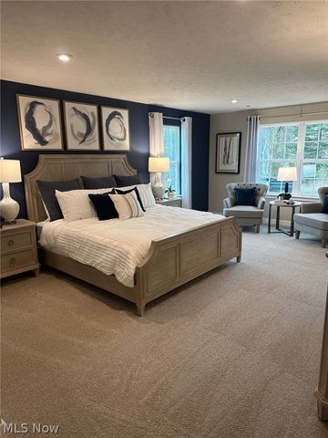 1012 Ashford Court, Columbia Station, OH 44028