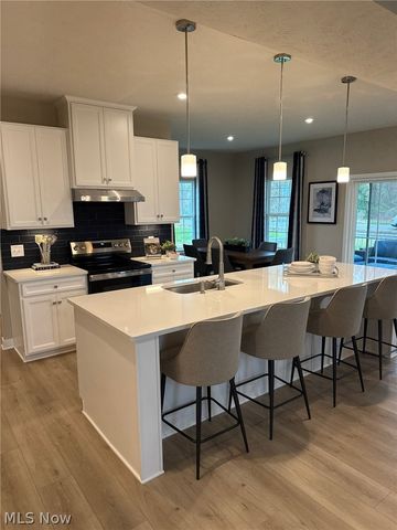 1012 Ashford Court, Columbia Station, OH 44028