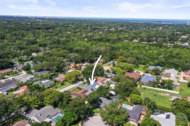 1981 CASTILLE DRIVE, Dunedin, FL 34698