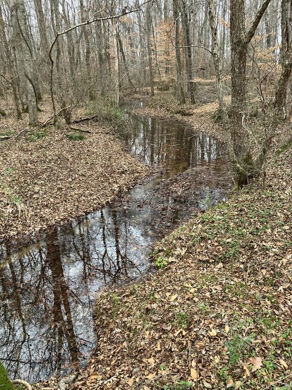 0 Hodge Rd, Manchester, TN 37355