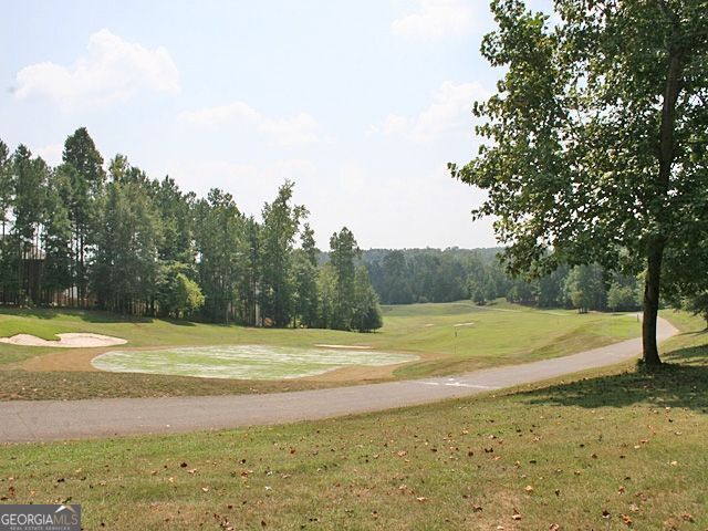 204 Horizon Hill, Newnan, GA 30265