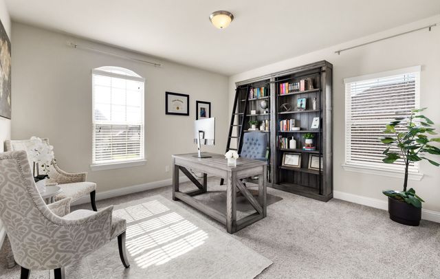 1616 Canals Drive, Little Elm, TX 75068