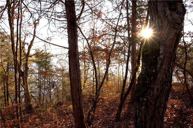 0000 Hannah Lane, Eureka Springs, AR 72631