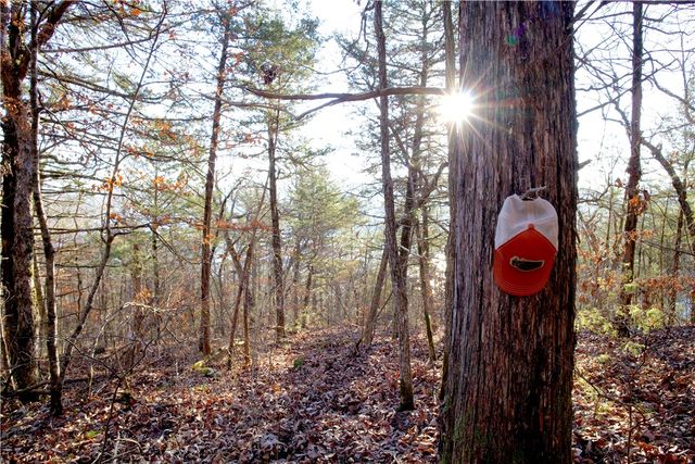 0000 Hannah Lane, Eureka Springs, AR 72631