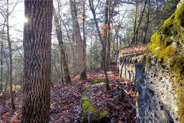 0000 Hannah Lane, Eureka Springs, AR 72631