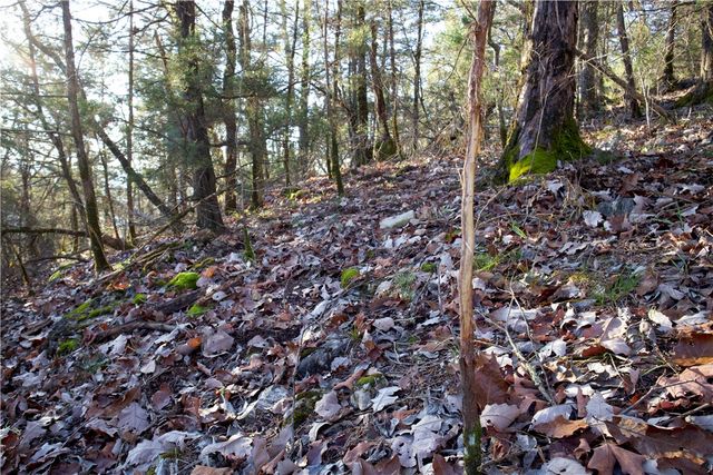 0000 Hannah Lane, Eureka Springs, AR 72631