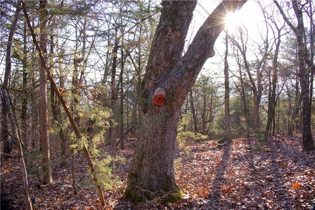 0000 Hannah Lane, Eureka Springs, AR 72631