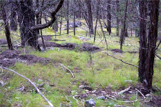 0000 Hannah Lane, Eureka Springs, AR 72631