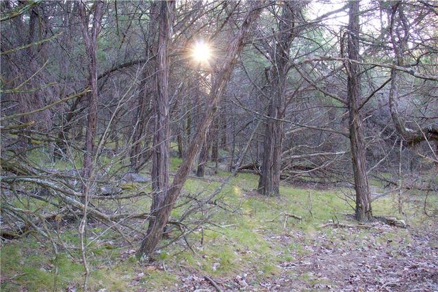 0000 Hannah Lane, Eureka Springs, AR 72631