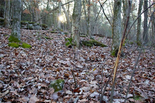 0000 Hannah Lane, Eureka Springs, AR 72631