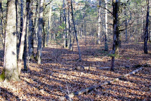 0000 Hannah Lane, Eureka Springs, AR 72631