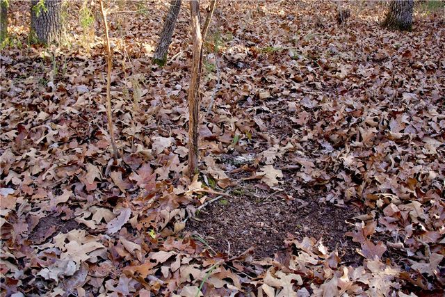 0000 Hannah Lane, Eureka Springs, AR 72631