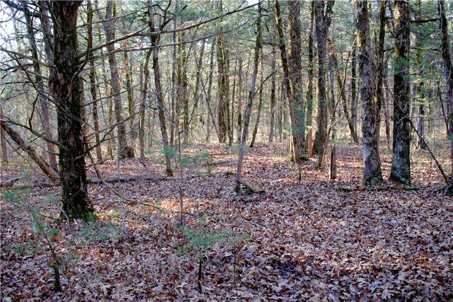 0000 Hannah Lane, Eureka Springs, AR 72631