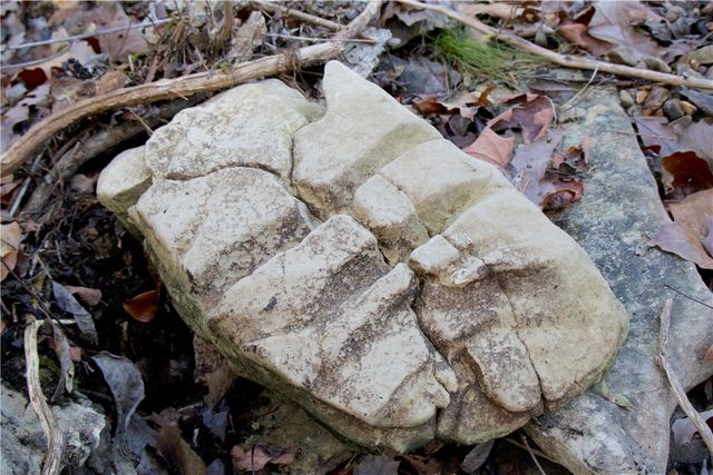 0000 Hannah Lane, Eureka Springs, AR 72631