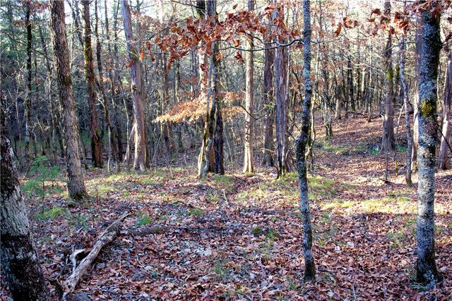 0000 Hannah Lane, Eureka Springs, AR 72631