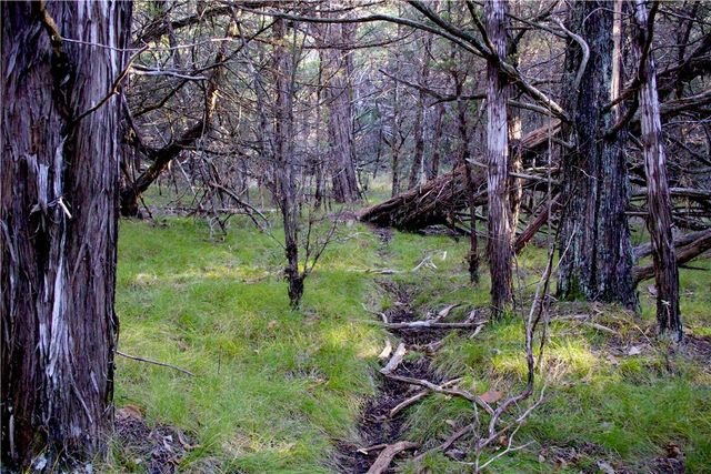 0000 Hannah Lane, Eureka Springs, AR 72631