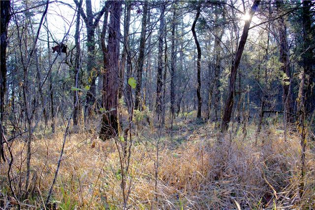 0000 Hannah Lane, Eureka Springs, AR 72631