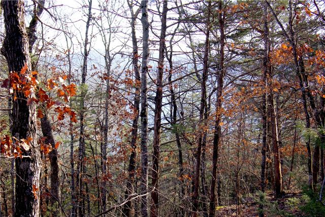 0000 Hannah Lane, Eureka Springs, AR 72631