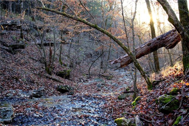 0000 Hannah Lane, Eureka Springs, AR 72631