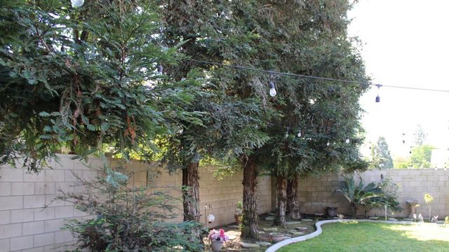 7505 Chinese Mountain Way, Bakersfield, CA 93313