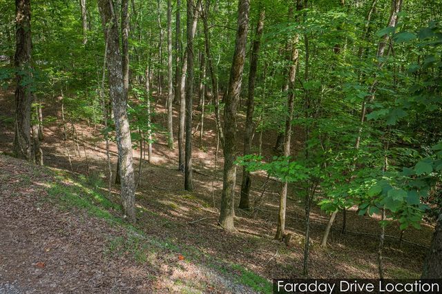 Lot 2800 Medina Court, Ellijay, GA 30540