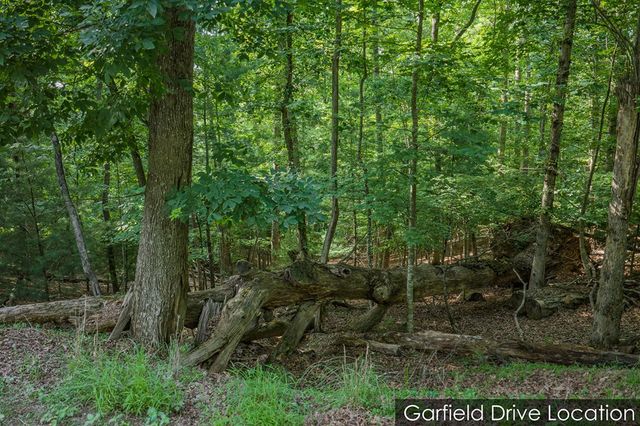 Lot 2800 Medina Court, Ellijay, GA 30540