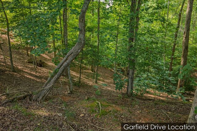 Lot 2800 Medina Court, Ellijay, GA 30540