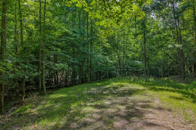 Lot 2800 Medina Court, Ellijay, GA 30540