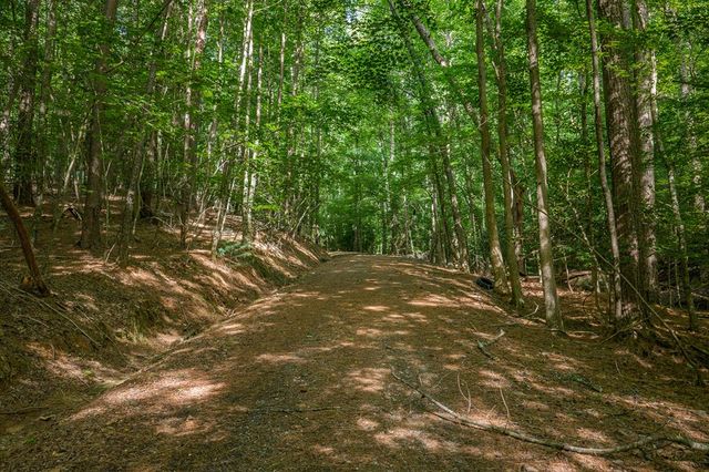 Lot 2800 Medina Court, Ellijay, GA 30540