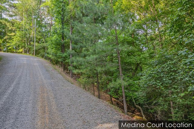 Lot 2800 Medina Court, Ellijay, GA 30540
