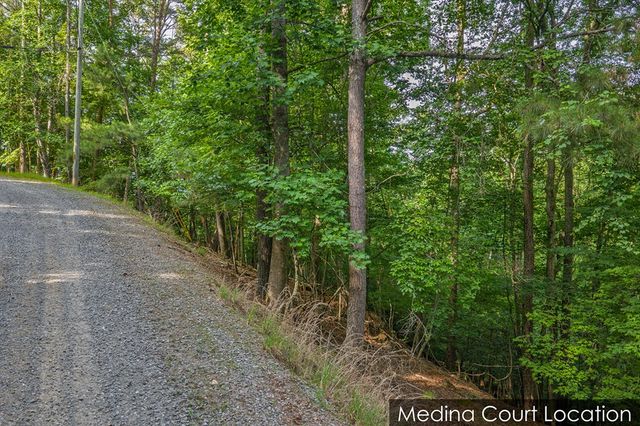 Lot 2800 Medina Court, Ellijay, GA 30540