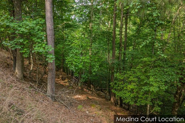 Lot 2800 Medina Court, Ellijay, GA 30540