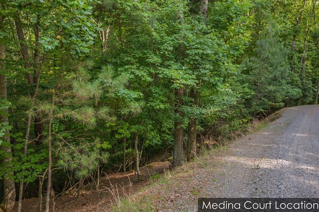 Lot 2800 Medina Court, Ellijay, GA 30540