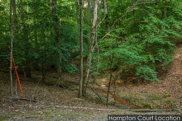 Lot 2800 Medina Court, Ellijay, GA 30540