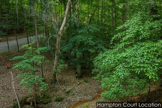Lot 2800 Medina Court, Ellijay, GA 30540