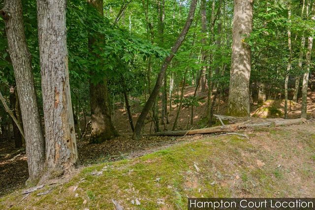 Lot 2800 Medina Court, Ellijay, GA 30540