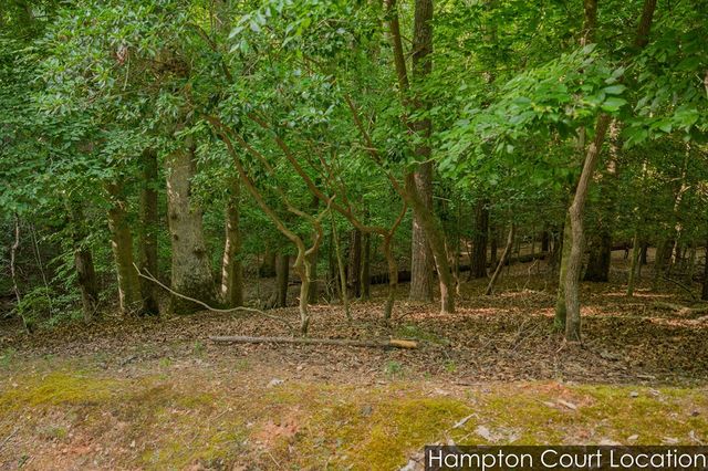 Lot 2800 Medina Court, Ellijay, GA 30540