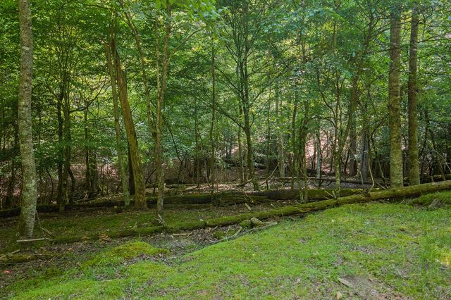 Lot 2800 Medina Court, Ellijay, GA 30540