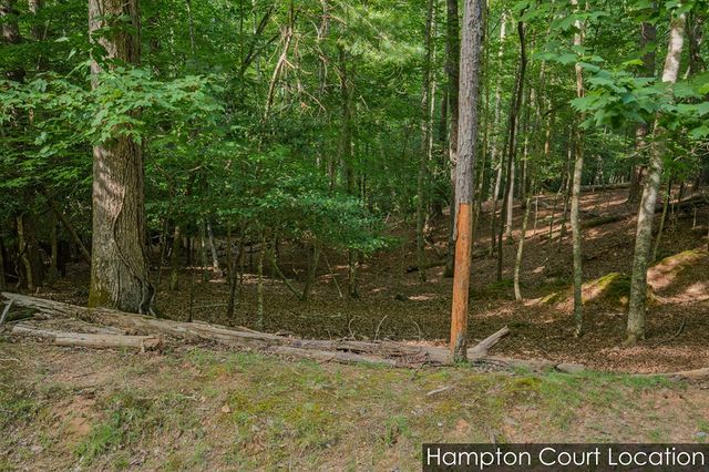 Lot 2800 Medina Court, Ellijay, GA 30540