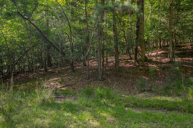 Lot 2800 Medina Court, Ellijay, GA 30540