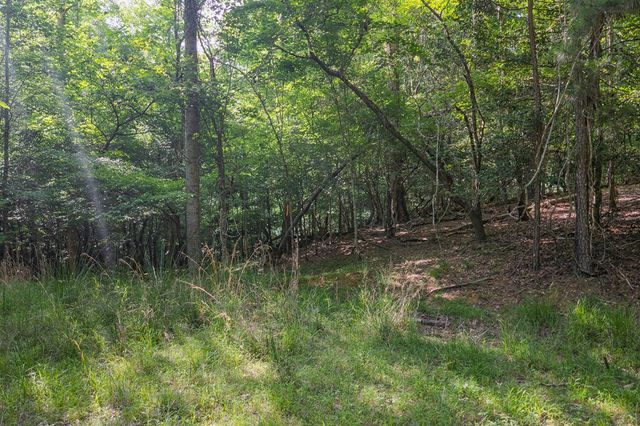 Lot 2800 Medina Court, Ellijay, GA 30540