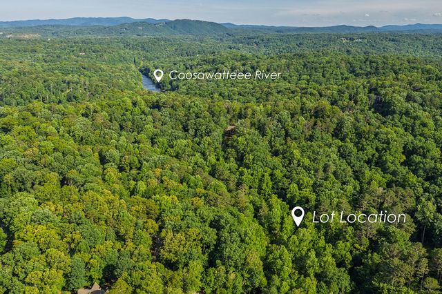 Lot 2800 Medina Court, Ellijay, GA 30540
