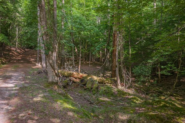 Lot 2800 Medina Court, Ellijay, GA 30540