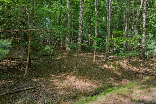 Lot 2800 Medina Court, Ellijay, GA 30540